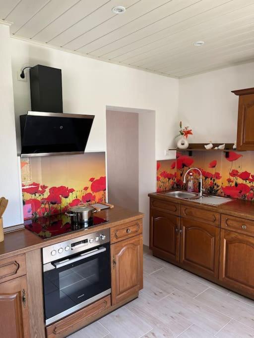 Haus Bernsteinsee Mit Goitzsche-Schnuppersegeln Friedersdorf  Zewnętrze zdjęcie